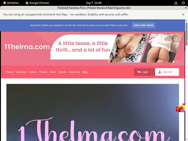 1thelma.com Male Pornstars