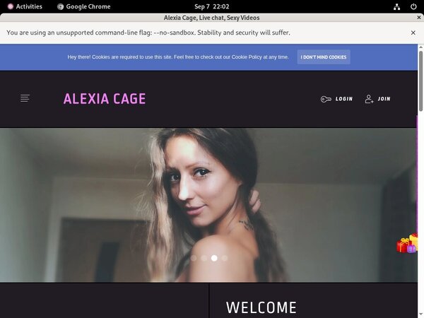Alexiacage.modelcentro.com Logon