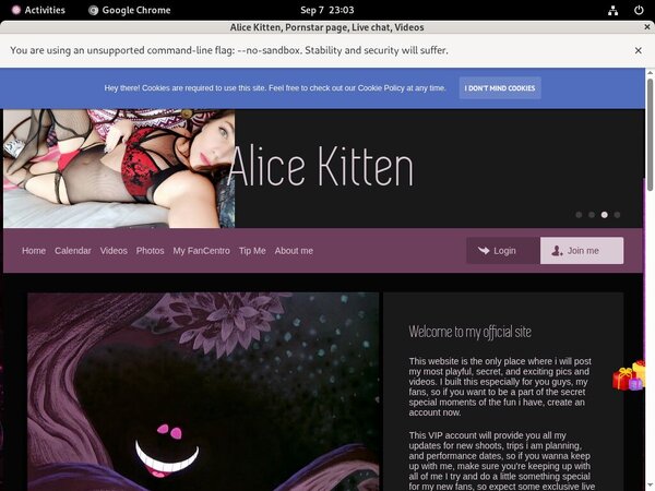 Alicekitten.modelcentro.com With Online Check