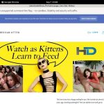 Americankittens Girls Americankittens Girls