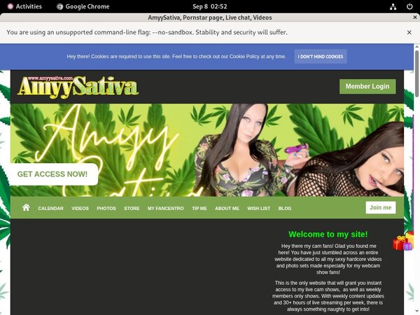 Amyysativa.com Com Paypal