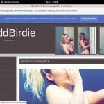 BaddBirdie Discount Full