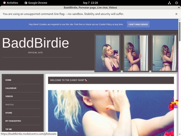 Baddbirdie.modelcentro.com Torrent