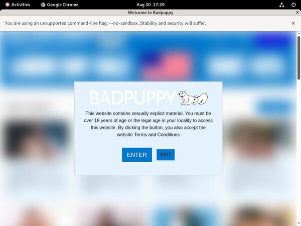 Badpuppy Website Password