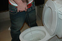 Boys Pissing gay porn stars
