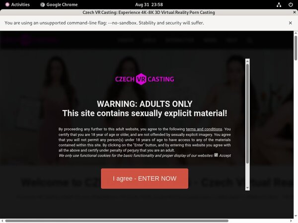 Czechvrcasting.com X
