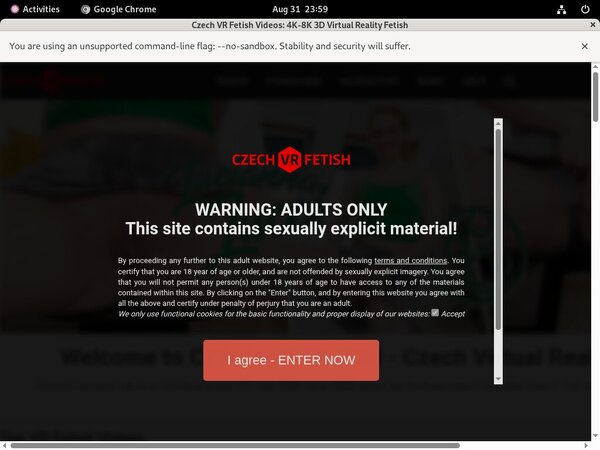 Czechvrfetish.com Password Info