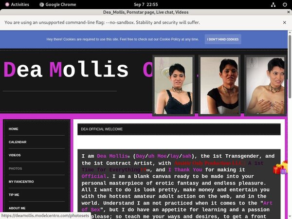 Deamollis.modelcentro.com Join By Direct Pay