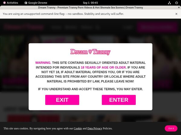 Dreamtranny.com Videos