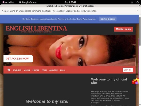 English_Libentina Model