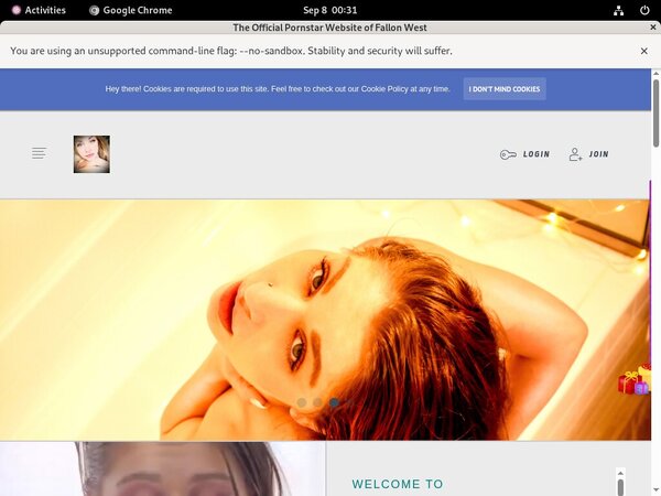 FallonWest Paypal Option
