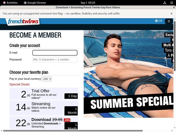 Free French Twinks Discount Code