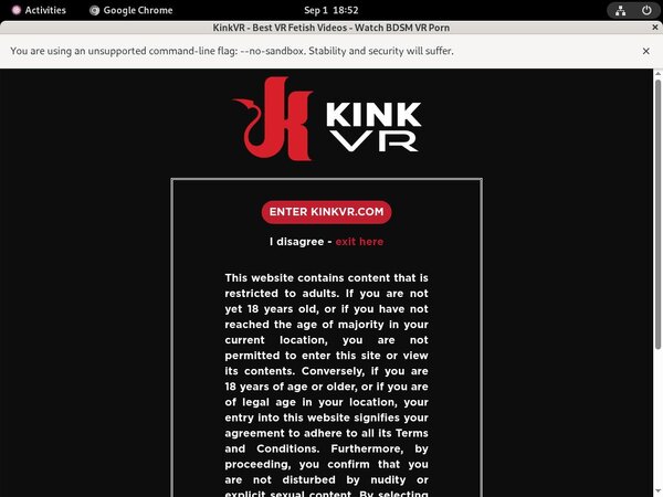 Free Kinkvr Password