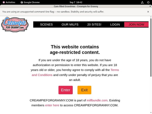 Free Pass For Creampieforgranny.com