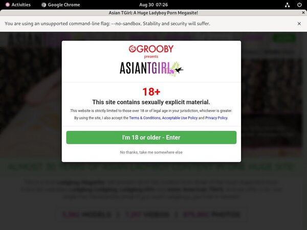 Free Pass For Ladyboyladyboy