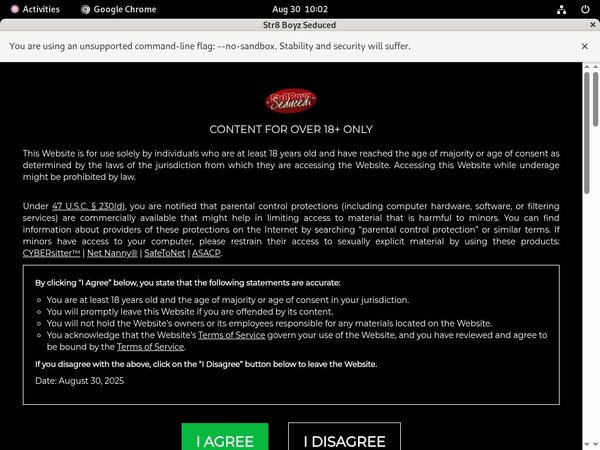 Free Str8boyzseduced.com Trial