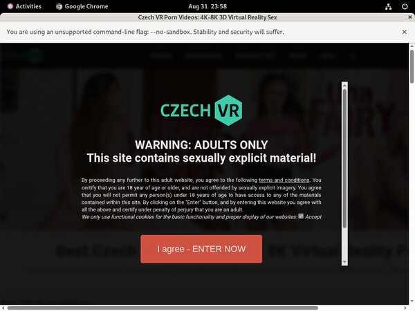 Free VR Czech Logins