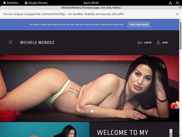 Free Working MicheleMendez Logins