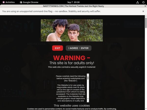 Free Working Nastytwinks.com Logins