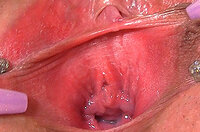 Gape My Pussy Passworter s1