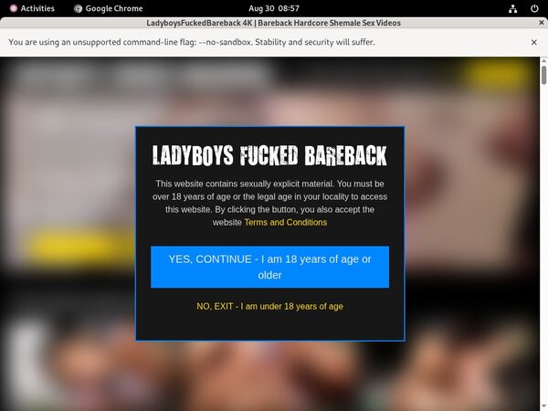 Gay Ladyboysfuckedbareback.com