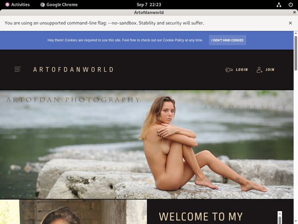 Get Artofdanworld Deal Get Artofdanworld Deal