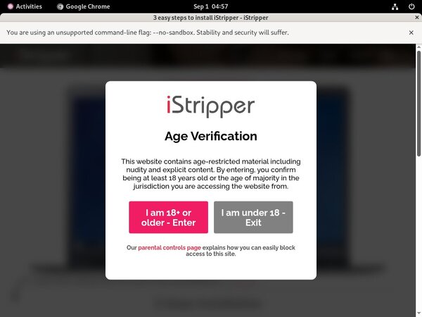 IStripper Automatische Incasso