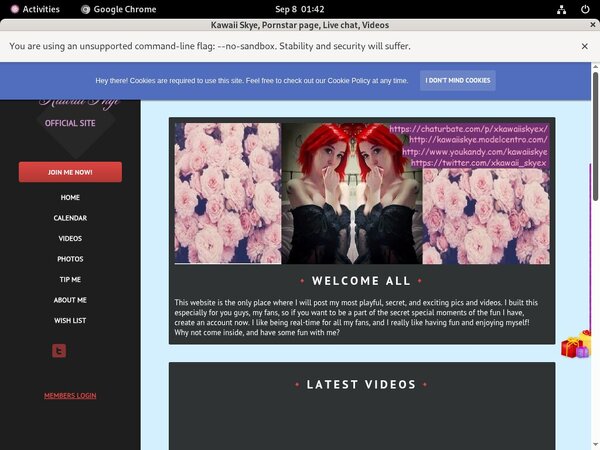 Kawaiiskye.modelcentro.com Subscription Deal