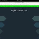 Kitty’s Kuriosities Site Rip Url