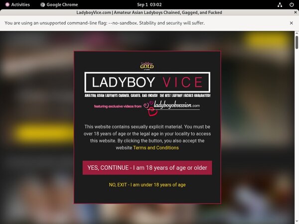 Ladyboy Vice Page