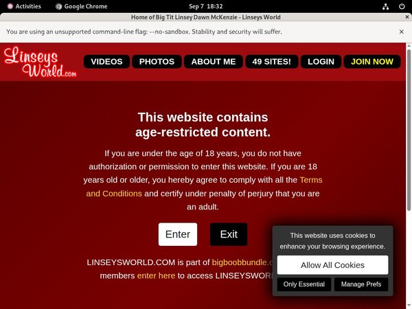 Linseys World Logins Free