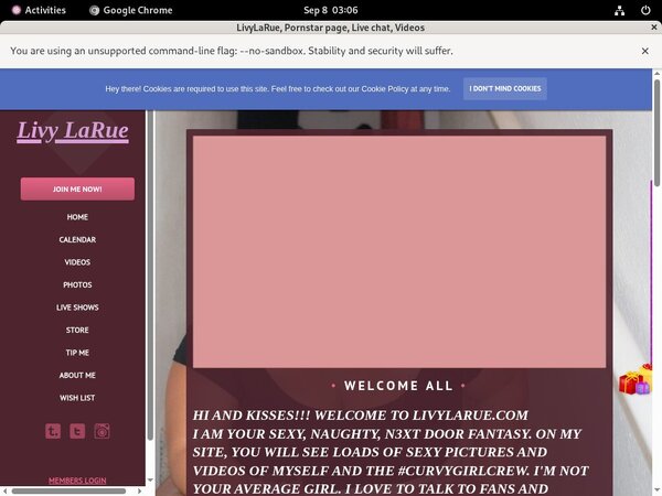 LivyLaRue Hack Account