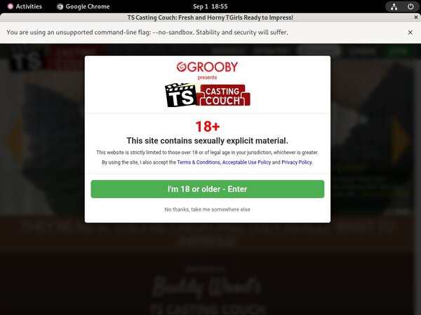 Login To Tscastingcouch Free