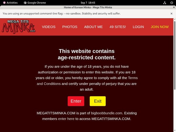 Megatitsminka Logins Free