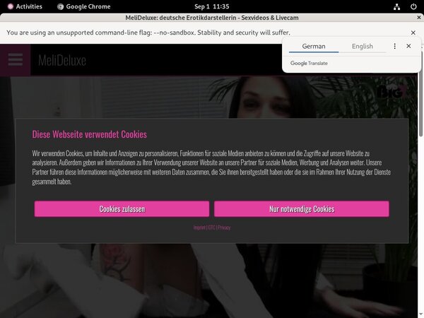 Meli Deluxe Netbilling