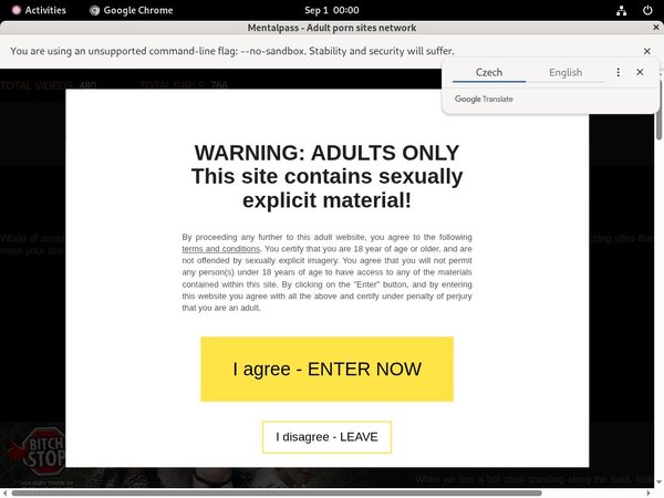 Mentalpass Boobs