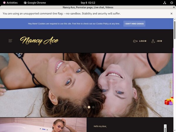 Nancyace.com Sale Price