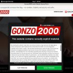 Offer Gonzo2000