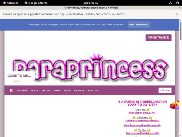 Paraprincess.com Account
