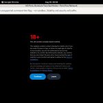 Pornprosnetwork Toilet
