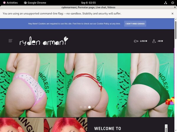 Rydenarmani Lingerie