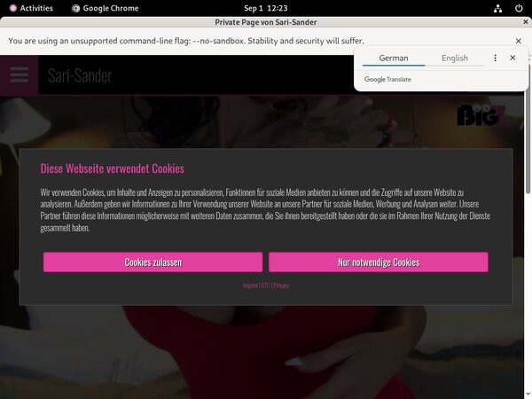 Sari Sander Hacked Account