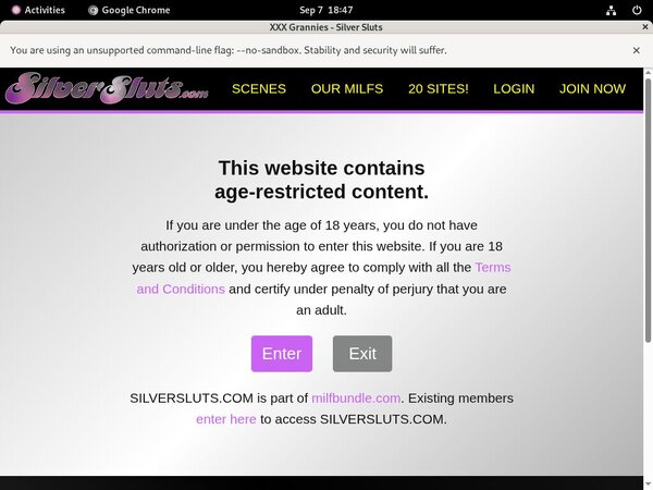 Silver Sluts Stream