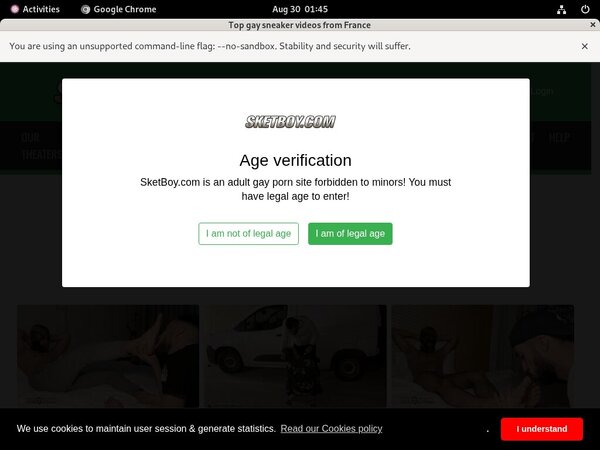 Sketboy.com Free Users