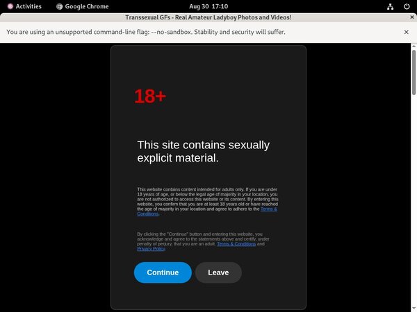Transsexualgfs Gxplugin (IBAN/BIC)
