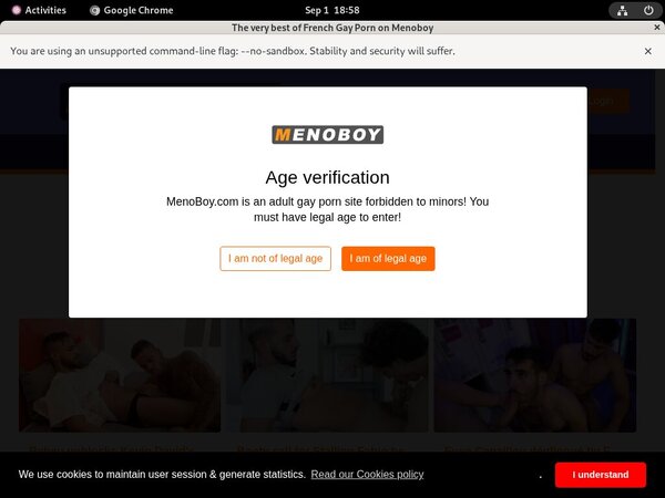 Username And Password For Meno Boy