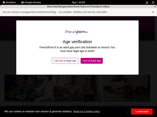 What Is French Porn Gay