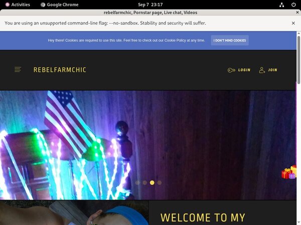 Working Rebelfarmchic Login