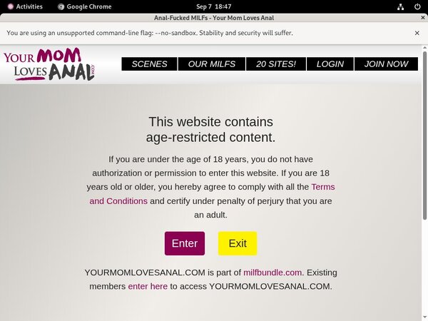 Yourmomlovesanal.com Web