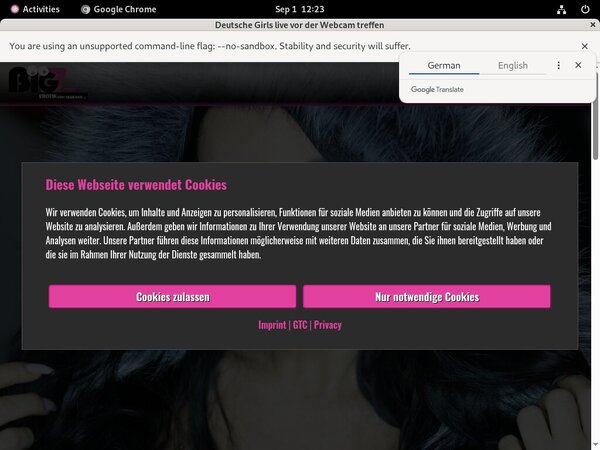 Lana Giselle Password Info